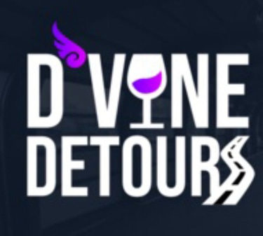 Dvinedetours logo