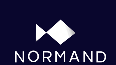 NORMAND logo