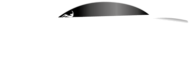 SAFRA AUTO LLC - SAFRA AUTO logo