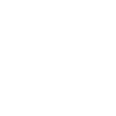 ianomawebsolution logo