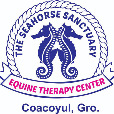 theseahorsesanctuaryequinetherapycenter logo