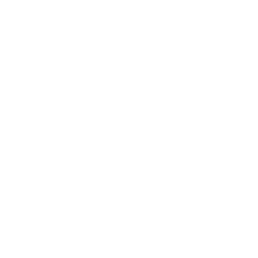 Negombo Budget Taxi logo