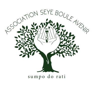Seye Boule Avenir logo