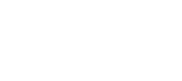 Bingwu (FIRE HORSE) logo