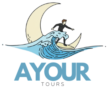 Ayour tours logo