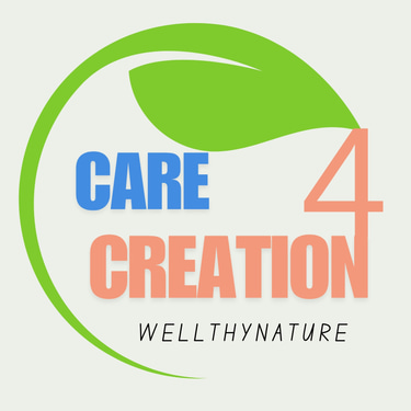 care4creation logo