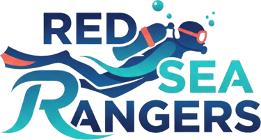 redsearangers logo