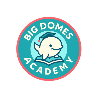 Big Domes Academy logo