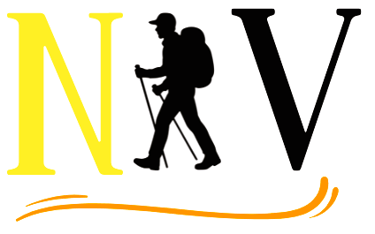 Nomad Vibrants logo