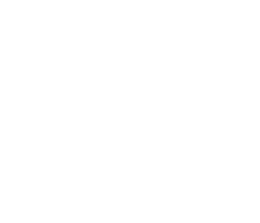 Revintis Forte logo