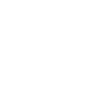 Motion visualworks logo