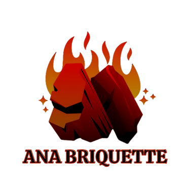 ANA Briquette logo