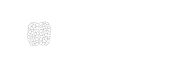 Anarista logo