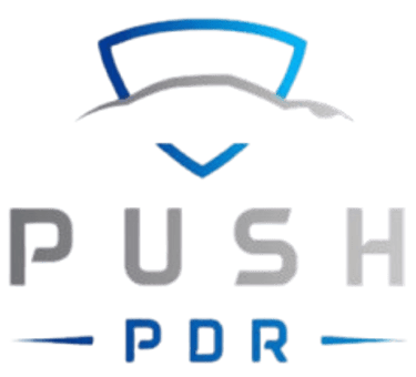 Push PDR logo
