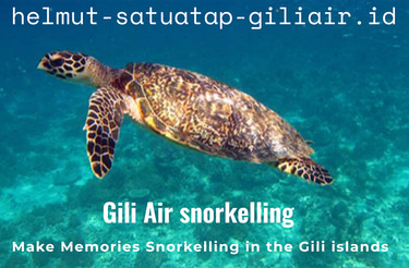 Helmut Satuatap (Onestop) Gili Air Snorkeling logo