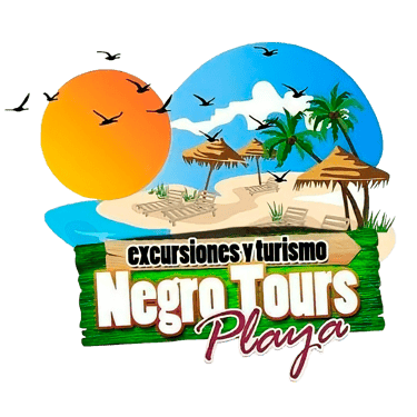 Negro Tours logo