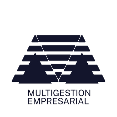 Multigestion13 logo