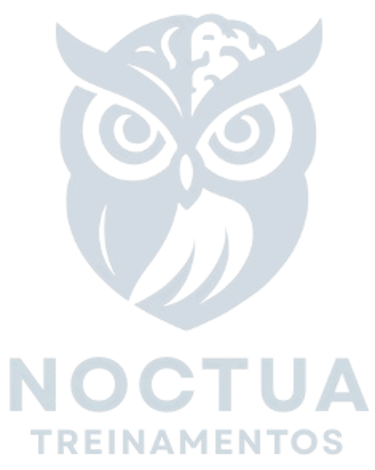 Noctua Treinamentos logo