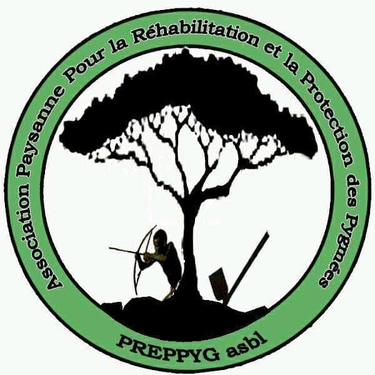 Preppyg asbl logo