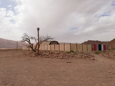 Marijampolės baptistai logo