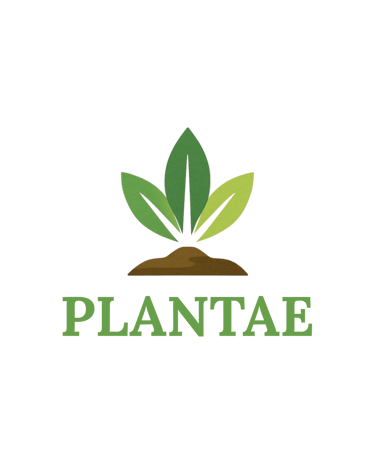 Plantae logo