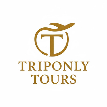 TripOnly Tours logo