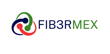 Fib3rmex logo