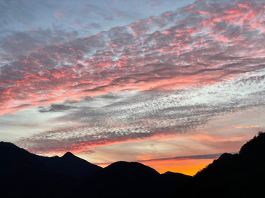 Gite la tanière des ours logo