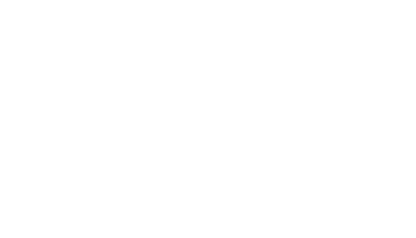 Buena view logo
