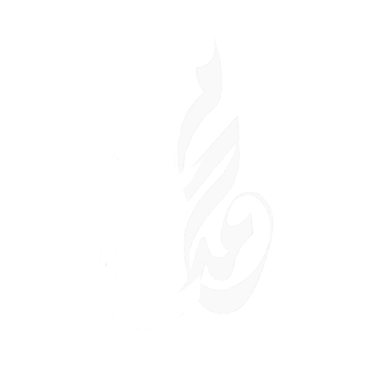 Mohammad Abdin logo