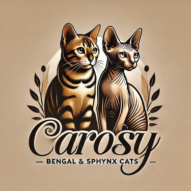 Carosy Bengali and Sphynx Cats logo