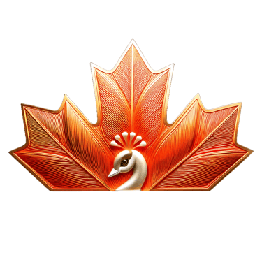 Can India Star Studios logo