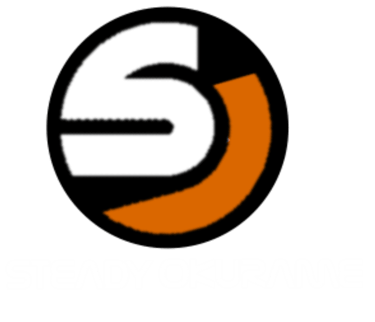 Steady Okurame logo