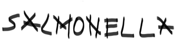 Salmonella logo