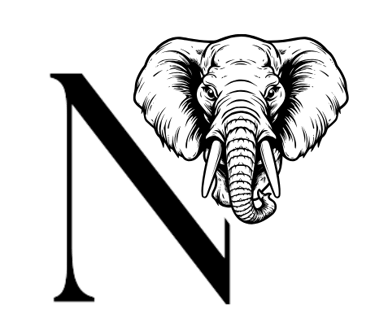 Natalie's Coaching logo