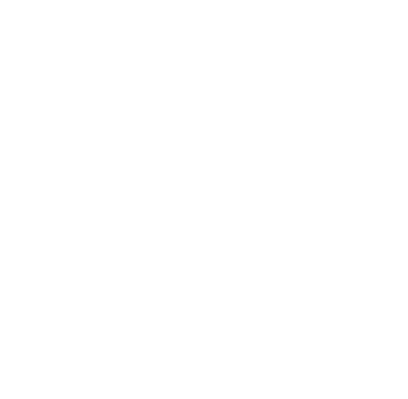 Mango Havana logo