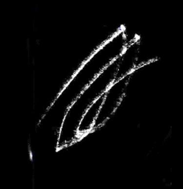 clear your space logo