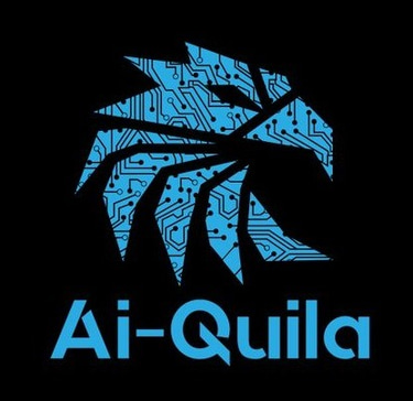 Emil Barbuta - Machine Learning Engineer logo