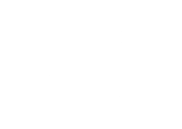 Florence Komodo logo