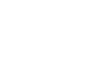PUNA NEXO SRL logo
