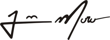 João Moro Artista Plástico logo