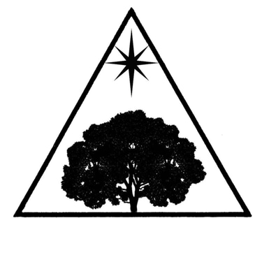 Tenora Consulting Inc. logo