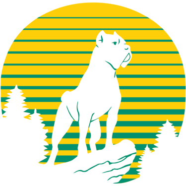 Mojo Mountain Realty logo