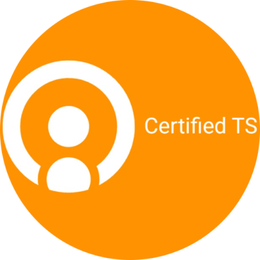 Certified Translation Solutions logo