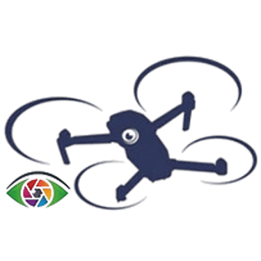 Drone's Eye Perspectives logo