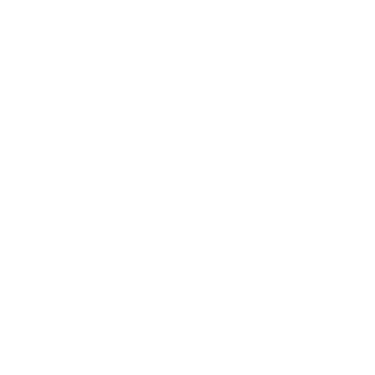 LP4 TATTOO logo