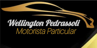 Motorista Particular WP logo
