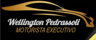 Motorista Particular WP logo