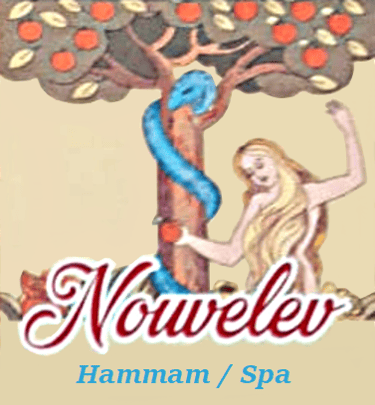 Nouvelev logo