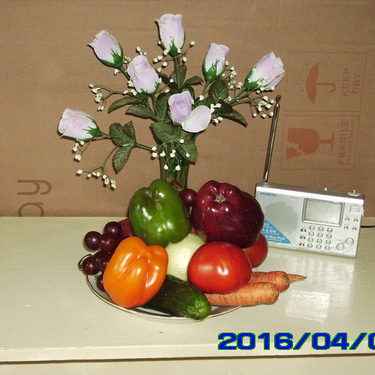 Health Improvement    logo